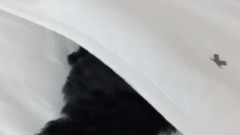 金泰妍的Zero更新第十則