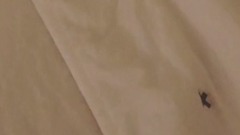 金泰妍的Zero更新第十一則