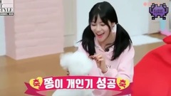 【KPOP IDOLS】愛豆們與寵物的可愛日常