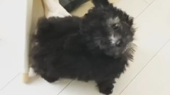 金泰妍的Zero更新第十八則