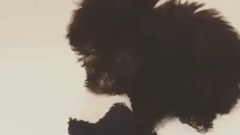 金泰妍的Zero更新第二十二則