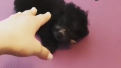 金泰妍的Zero更新第二十五則
