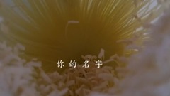輕音樂 - 詩歌-你的名字