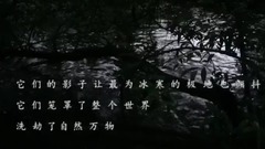 輕音樂 - 靈魂在黑暗中起舞