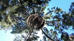 歐美群星 - Andele