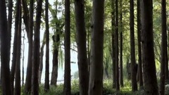 無錫<游渤公島>