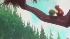 華語童星 - 動畫片歌曲串燒