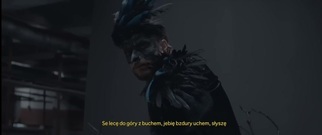 歐美群星 - Zohan