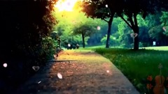 輕音樂 - 心雨