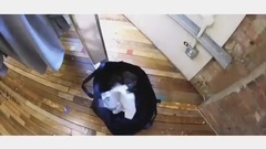 歐洲旅行游記 泰古tv1