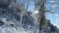 風雪之中