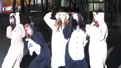 入程停儀 Hollic