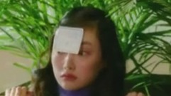 貓