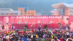 鳳凰傳說