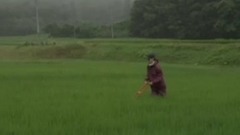 夏無止盡