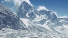 巔峰寒冬的生命