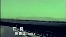 張震岳-再見