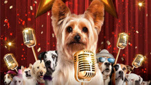  - 電影《萌犬好聲音》預告片