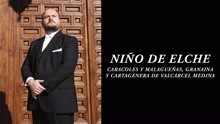 Caracoles y Malague?as, Granaina y Cartagenera de Valcárcel Medina (Audio)