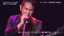 齊藤和義 & 田島貴男 - 歩いて帰ろう - 現場