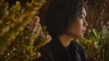 warbear - 墓場の蝶