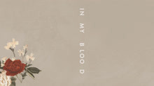 Shawn Mendes - In My Blood 試聽版