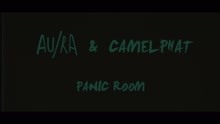 Panic Room