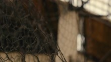 Athena (Clip officiel)