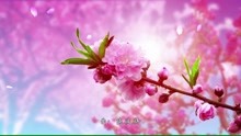  - 費玉清《一剪梅》