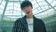 Snuper - Tulips