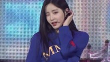 MOMOLAND - MOMOLAND - BBOOM BBOOM - 日本現場版2018