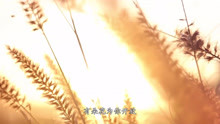 韓紅《青春》