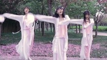 ace - 一里春風
