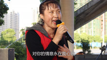 惜別的海岸