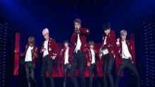 FIRE - THE WINGS TOUR2017