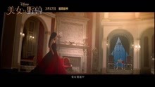  - 田馥甄 井柏然 美女與野獸