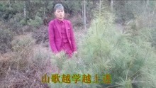  - 云南山歌：哥是一個會澤人