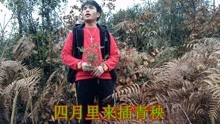  - 貴州山歌：冬月雪花飛滿天