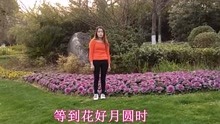  - 云南山歌：鮮花綠葉長相伴