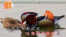  - 云南山歌：三十多歲當孤寡