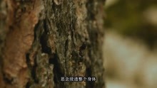 《七天七世紀》