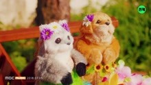 SEENROOT - PARADISE 預告