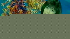 真的還是假的