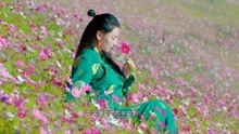  - 云的使者-崗尕措