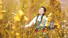  - 心中的女神_崗嘎措