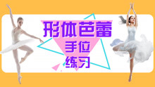 - 形體芭蕾舞姿手位練習