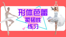  - 芭蕾舞教學柔韌性練習
