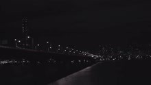 glowingdog - at night