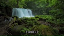 用你笑容為我祭奠！