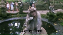 《愛情也有生命》